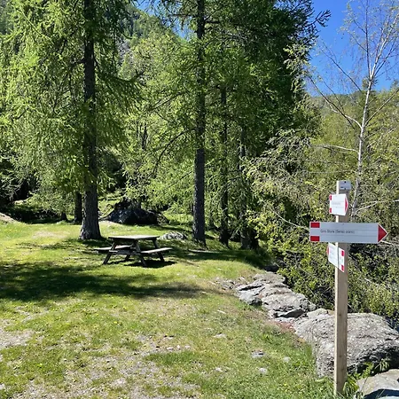 Rifugio Del Pettirosso