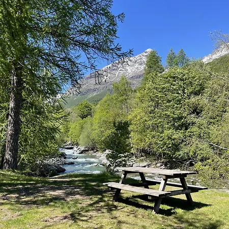 Rifugio Del Pettirosso *